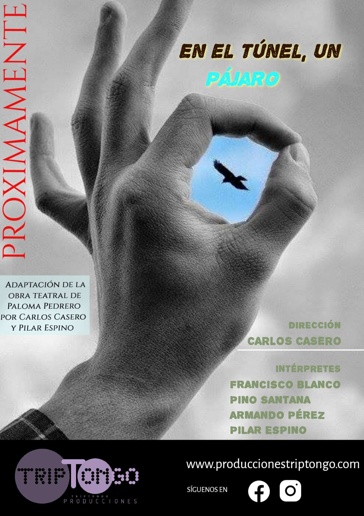 PRODUCCIONES TRIPTONGO
